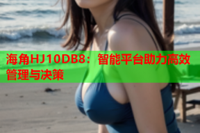 海角HJ10DB8：智能平台助力高效管理与决策