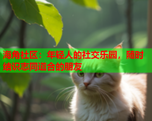 海角社区：年轻人的社交乐园，随时结识志同道合的朋友  第2张