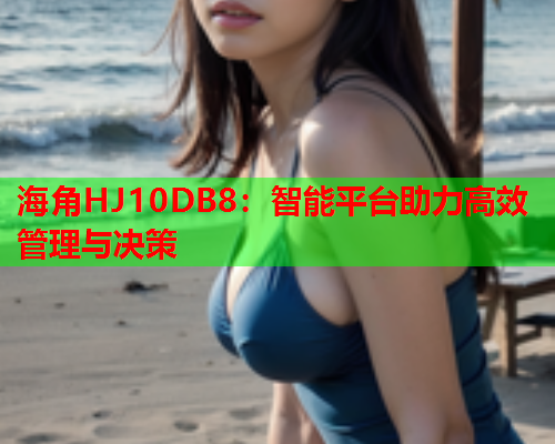 海角HJ10DB8：智能平台助力高效管理与决策  第1张